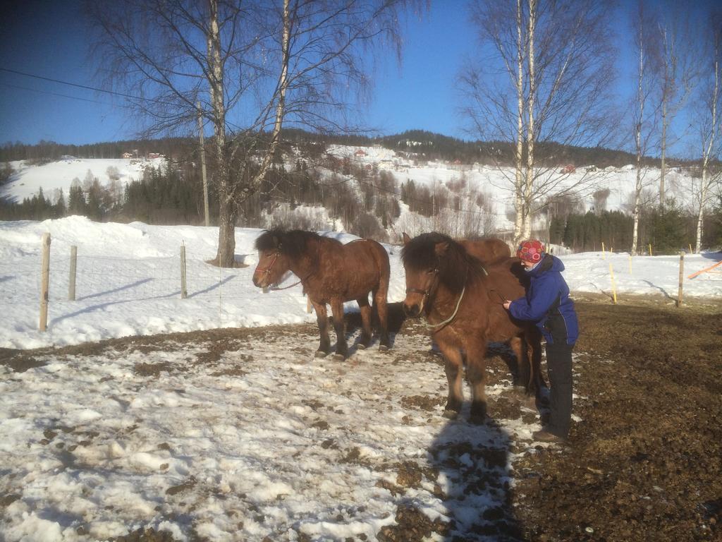 Asgardane Gjestegard Gol Luaran gambar