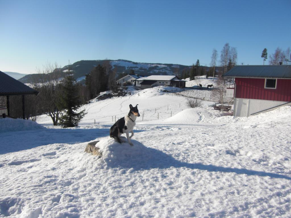 Asgardane Gjestegard Gol Luaran gambar