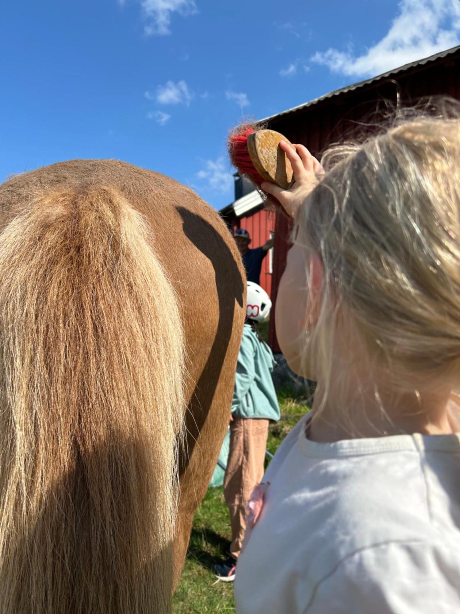 Asgardane Gjestegard Gol Luaran gambar