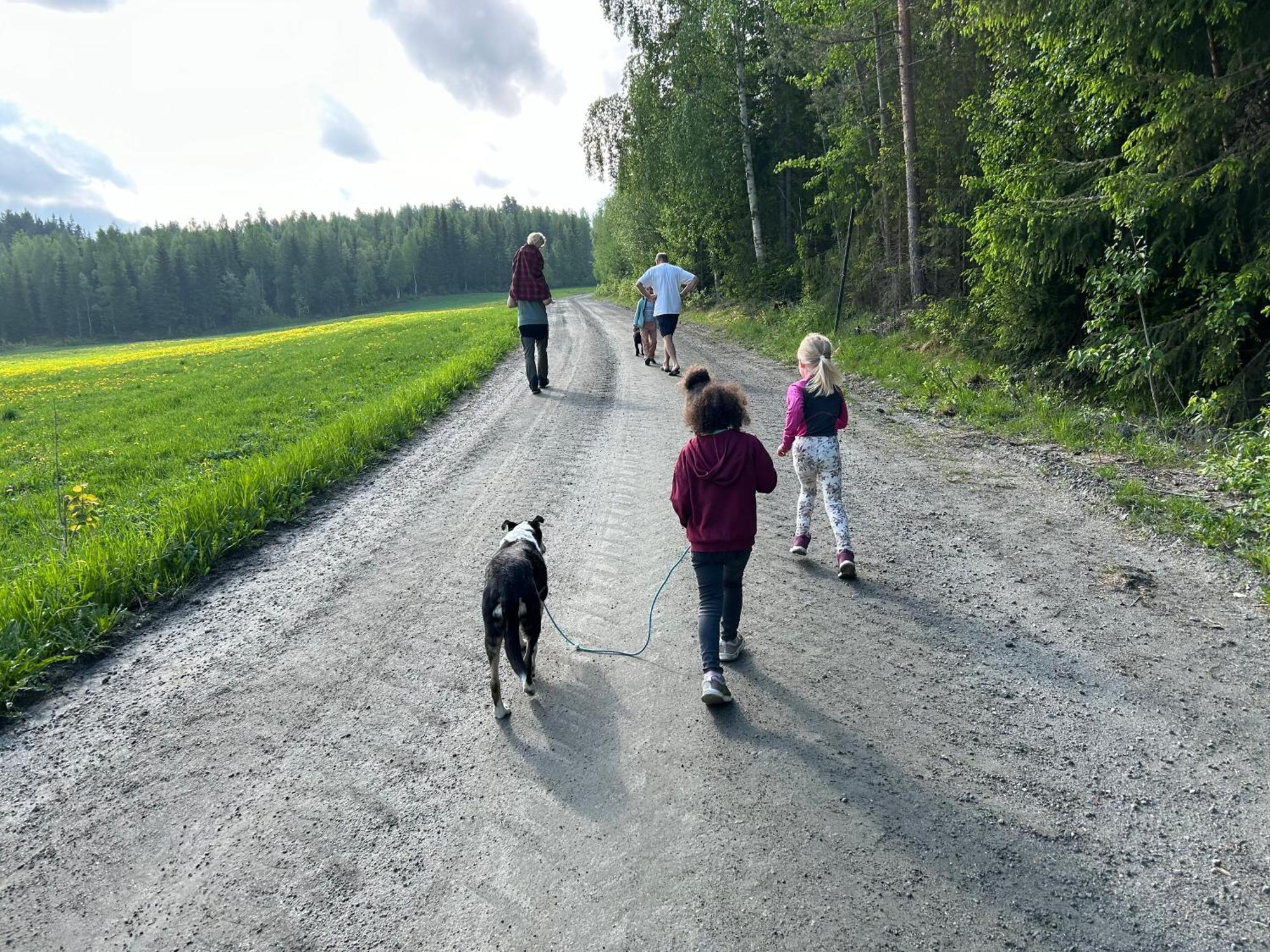 Asgardane Gjestegard Gol Luaran gambar