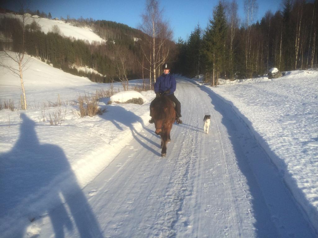 Asgardane Gjestegard Gol Luaran gambar