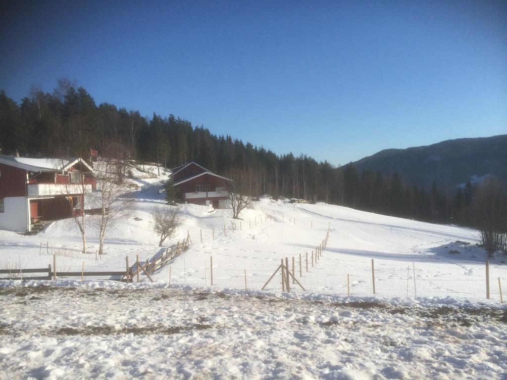 Asgardane Gjestegard Gol Luaran gambar