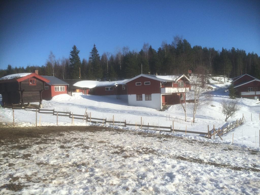 Asgardane Gjestegard Gol Luaran gambar