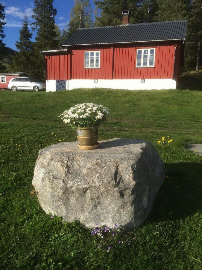 Asgardane Gjestegard Gol Luaran gambar